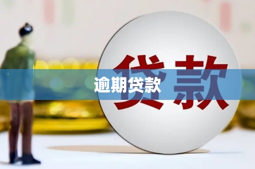 湘西逾期贷款