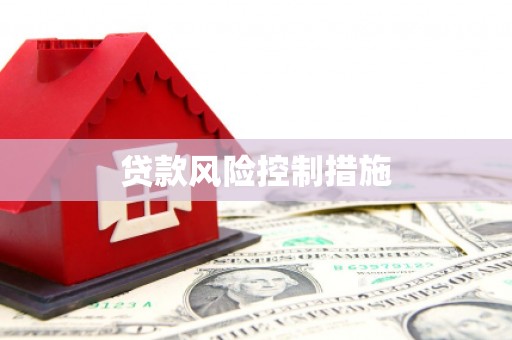 湘西贷款风险控制措施