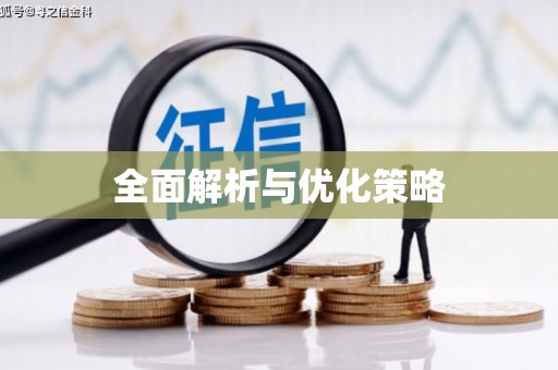湘西全面解析与优化策略