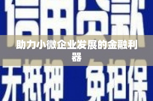 湘西助力小微企业发展的金融利器