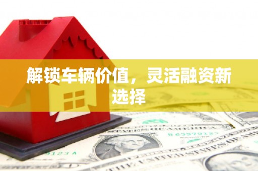湘西解锁车辆价值，灵活融资新选择