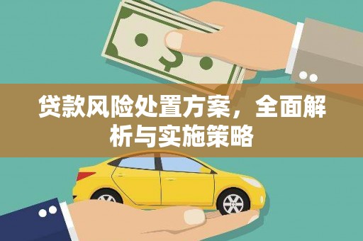 湘西贷款风险处置方案，全面解析与实施策略