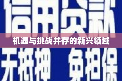 湘西机遇与挑战并存的新兴领域
