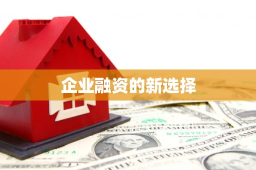 湘西企业融资的新选择