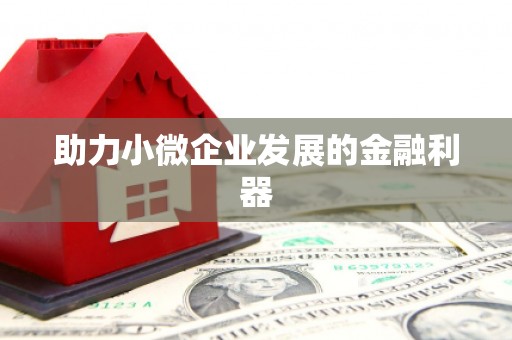 湘西助力小微企业发展的金融利器