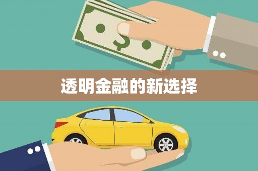 湘西透明金融的新选择