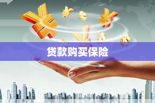 湘西贷款购买保险