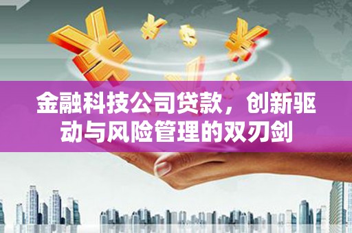 湘西金融科技公司贷款，创新驱动与风险管理的双刃剑
